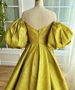 Teuta matoshi-Gilded Twilight Gown 2