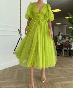 Teuta matoshi-Amra Dotted Dress 2
