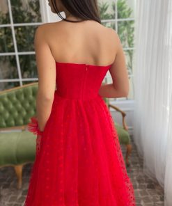 Teuta matoshi-Scarlet Charm Dress 2