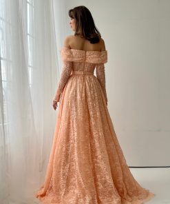 Teuta matoshi-Snowy Sunset Gown